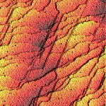 органический монокристалл