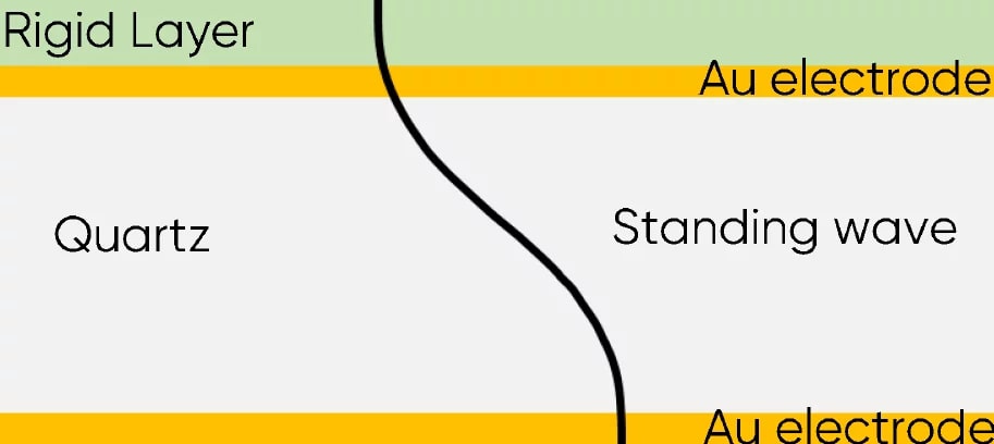 QCM: история и принципы