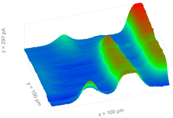 secm470 spider plant